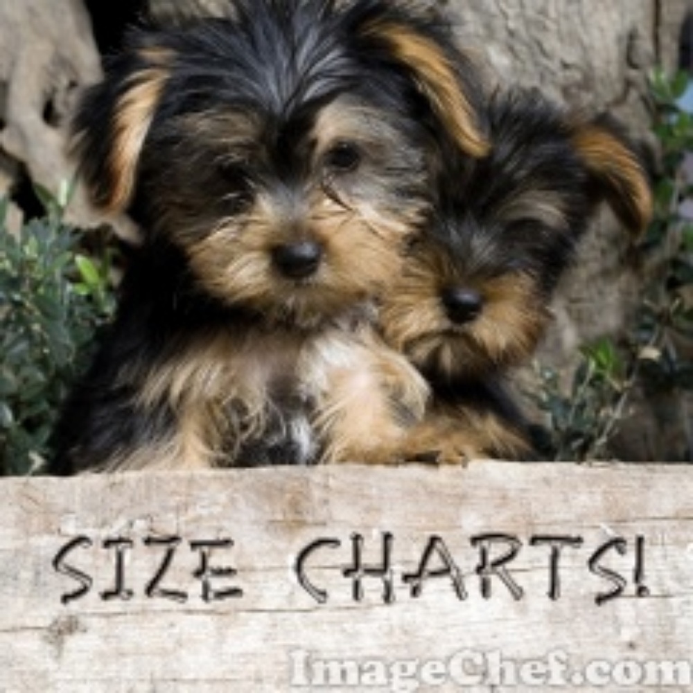 Can I Help You Find Your Size?